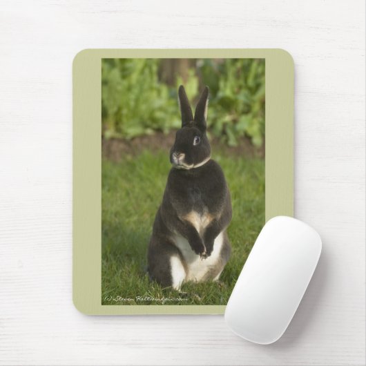 Permanent Rex Rabbit Muismat (Met muis)