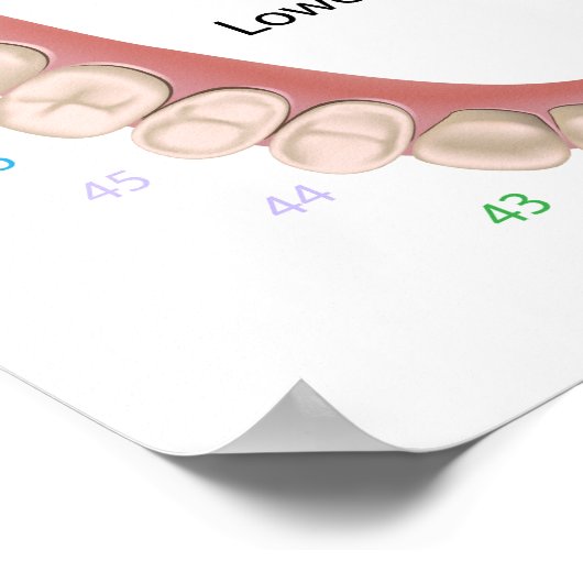 Permanent tandheelkundig Poster (Hoek)