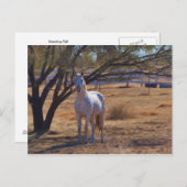 Permanente band briefkaart (Voorkant / Achterkant)