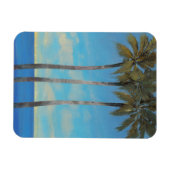 Permanente band II Magneet (Horizontaal)