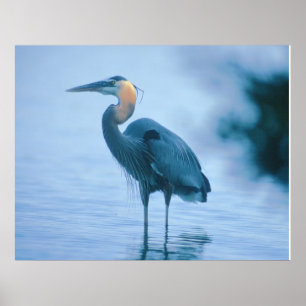 Permanente band poster