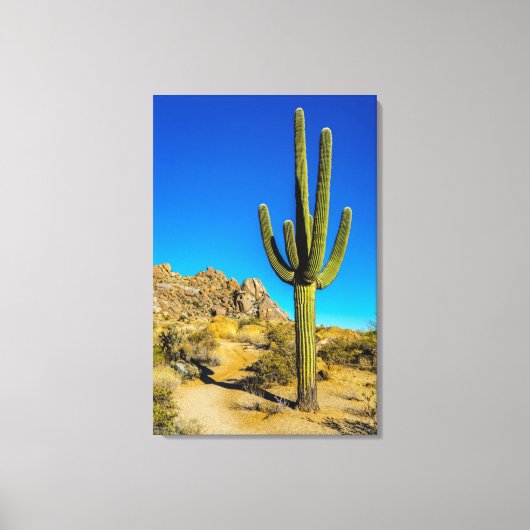 Permanente Cactus Canvas Afdruk (Voorkant)