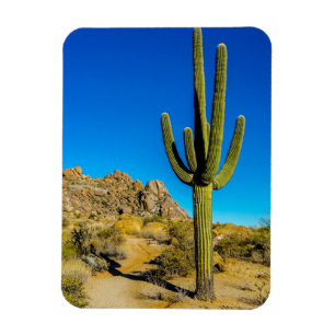 Permanente Cactus Magneet