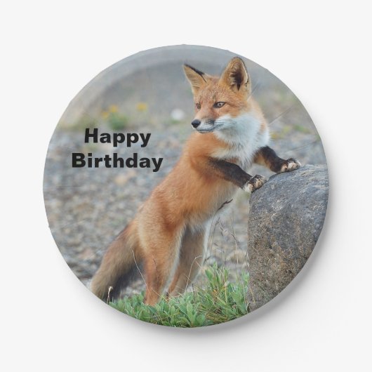 Permanente Red Fox Birthday Papieren Bordje (Voorkant)