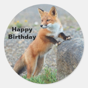 Permanente Red Fox Birthday Ronde Sticker