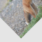 Permanente rode vos tissuepapier (Detail)