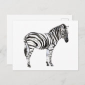 Permanente Zebra Briefkaart (Voorkant / Achterkant)