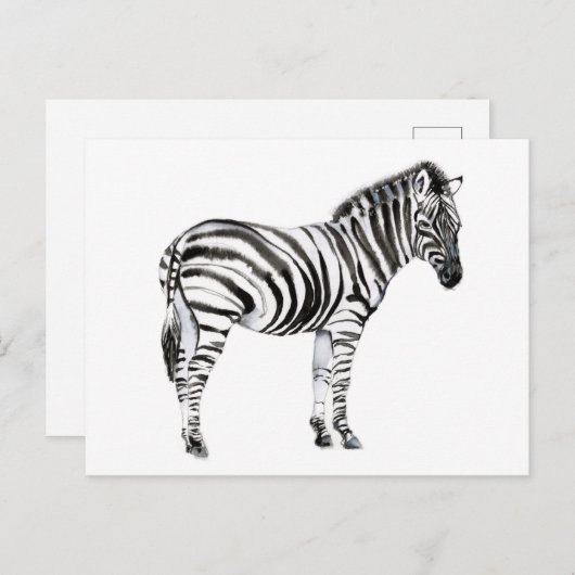 Permanente Zebra Briefkaart (Voorkant / Achterkant)