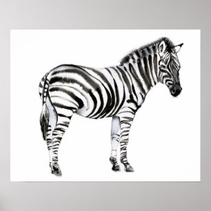 Permanente Zebra Poster
