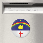 Pernambuco Magneet (Insitu (Vaatwasser))