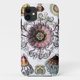 Peromedusae van Ernst Haeckel iPhone 11 Hoesje