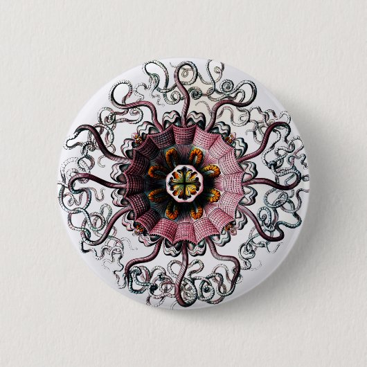 Peromedusae van Ernst Haeckel Ronde Button 5,7 Cm (Voorkant)
