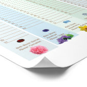 Perpetual Birthday Calendar Poster (Hoek)