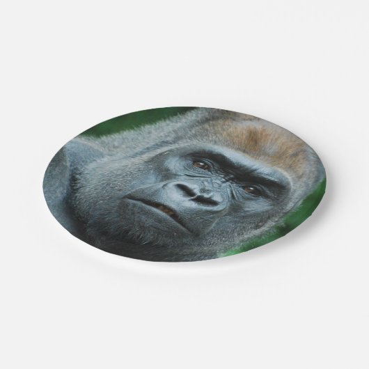Perplexed Gorilla Papieren Bordje (Gekanteld)