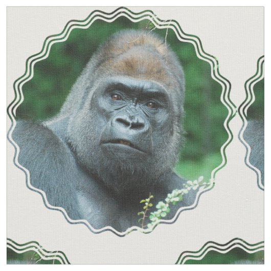 Perplexed Gorilla Stof (Close Up)