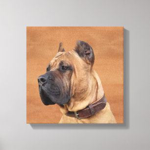 Perro de Presa Canario - Dogo Canario Canvas Afdruk