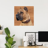 Perro de Presa Canario - Dogo Canario Poster (Thuiskantoor)
