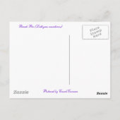 Perroncoördinatiepunten (Lathyrus maritimus) Briefkaart (Achterkant)