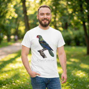 Perroquet a bec couleur sang / Great-billed papega T-shirt
