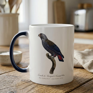 Perroquet a Camail bleu / Dusky papegaai Magische Mok
