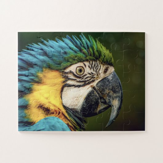 Perroquet Ara Oiseau Animal puzzle (Horizontal)