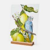 Perroquet bleu dans l'arbre à citrons Art botaniqu (Angle)