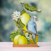 Perroquet bleu dans l'arbre à citrons Art botaniqu (Neutre)