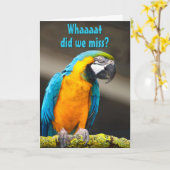 Perroquet coloré Modèle d'anniversaire tardif (Fleur jaune)