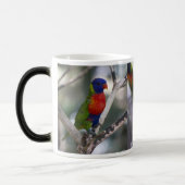 Perroquet et tasse de Lorikeets (Gauche)
