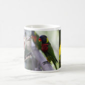 Perroquet et tasse de Lorikeets (Centre)