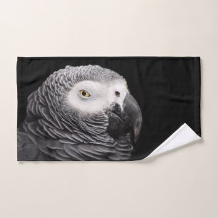 Perroquet Gris Africain