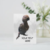 Perroquet gris africain, carte postale (Debout devant)