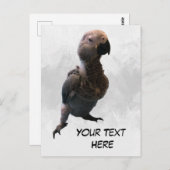 Perroquet gris africain, carte postale (Devant / Derrière)