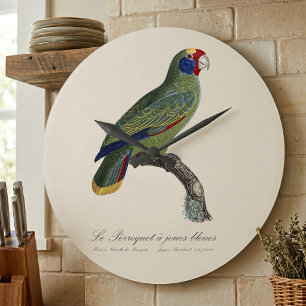 Perroquet joues blauw / roodstaartamazone grote klok