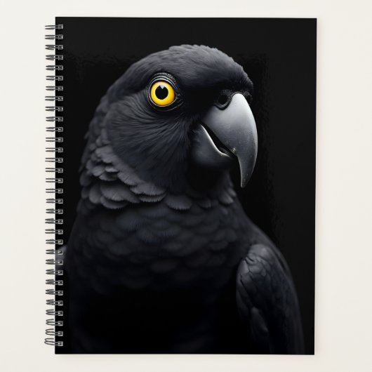 Perroquet noir (Devant)