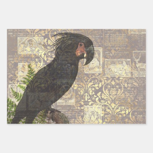 Perroquet noir avec Damas et papier journal (Devant)