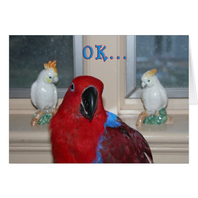 Perroquet orienté (Devant horizontal)