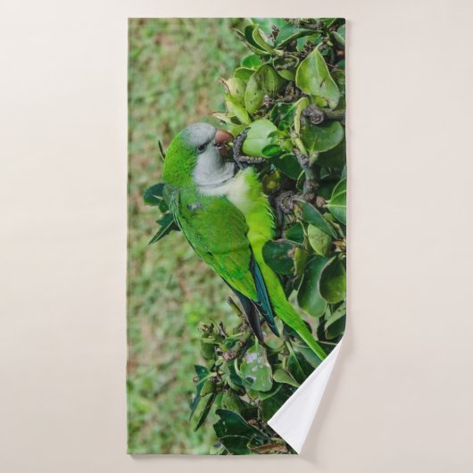 Perroquet vert (Serviette de bain)