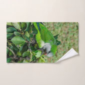 Perroquet vert (Serviette à main)