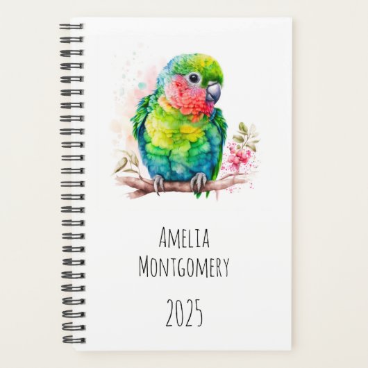 Perroquet vert - Bébé mignon oiseau (Devant)