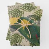 Perroquet vert et jaune sur les Feuilles (En situation)