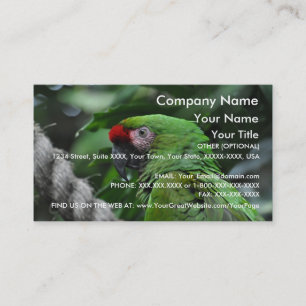 Perroquet vert - modèle de carte de visite