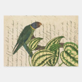 Perroquet vert sur la branche et les Feuilles (Devant 3)
