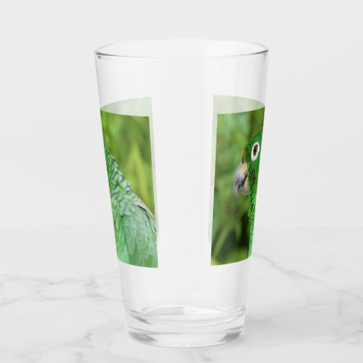 Perroquet vert - Verre (Droite)