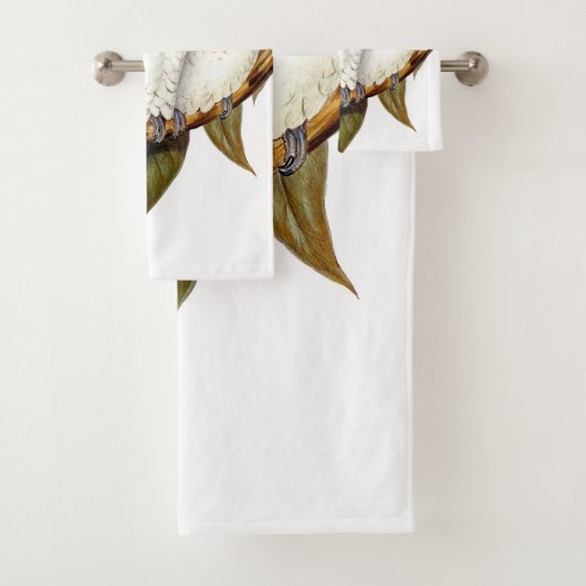 Perroquets blancs exotiques (En situation)