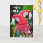 Perroquets colorés carte de voeux d'anniversaire (Fleur jaune)