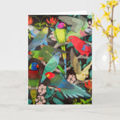 Perroquets colorés d'animal familier de la carte (Fleur jaune)