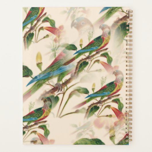 Perroquets colorés et belles fleurs (Dos)