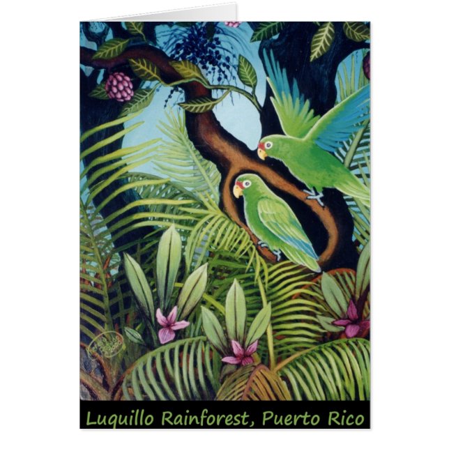 Perroquets de Luquillo (Devant)