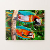 Perroquets Floride Jigsaw Puzzle (Horizontal)